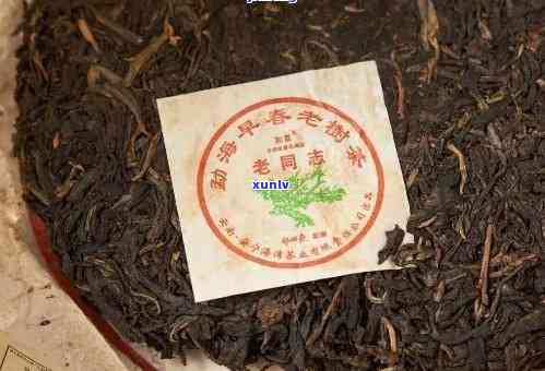 炳良监制的纯正普洱茶：一款值得品味的茶叶佳品