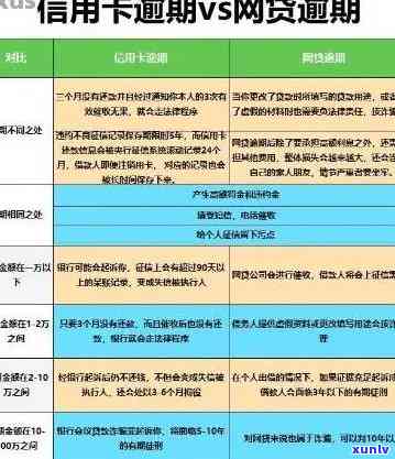 探究信用卡逾期利息：如何查看与理解其影响