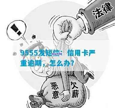 '01095580说信用卡逾期，未办过卡却收到严重逾期短信，9555 *** 。'