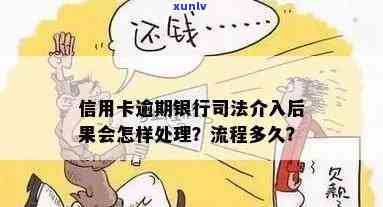 信用卡逾期：当司法介入时，你应当如何应对？