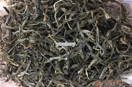 大忠山普洱茶：口感的独特魅力及其 *** 工艺