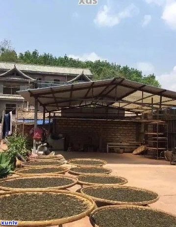 大益普洱茶茶厂：优质茶叶生产基地，全方位了解普洱茶 *** 工艺与品质