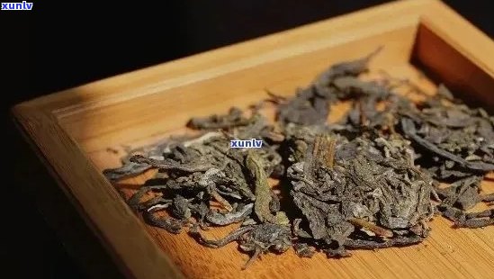 普洱茶的醇厚与陈化：如何判断适饮期？