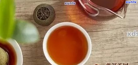 普洱茶的醇厚与陈化：如何判断适饮期？