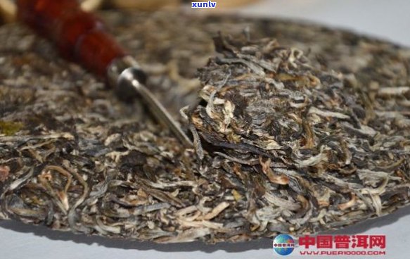 普洱茶的醇厚与陈化：如何判断适饮期？