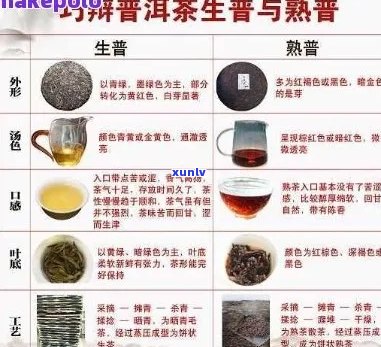 普洱茶与生搭配：如何发挥效果？一文解答关于这种养生组合的所有疑问