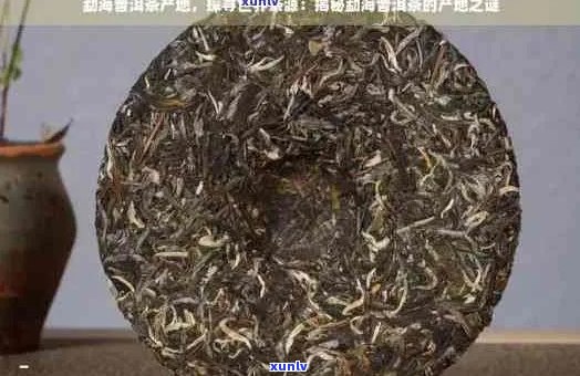 南糯普洱茶的产地、品种和品质特点，以及适用的冲泡 *** 和品饮技巧。