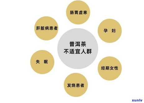 普洱茶价格区间分析：几千元与几百元一斤的差异及选购指南