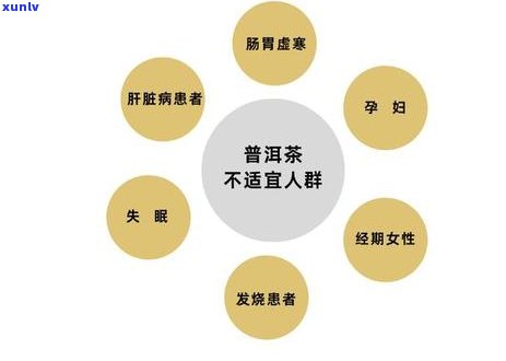 普洱茶价格区间分析：几千元与几百元一斤的差异及选购指南