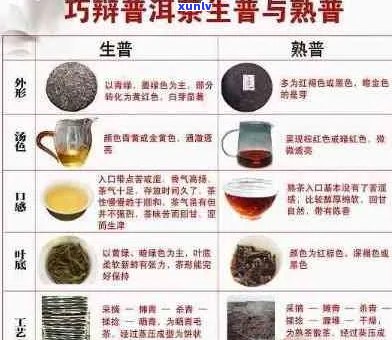 庭坊普洱茶：品种、品质、泡法与功效全方位解析，助你成为普洱茶专家