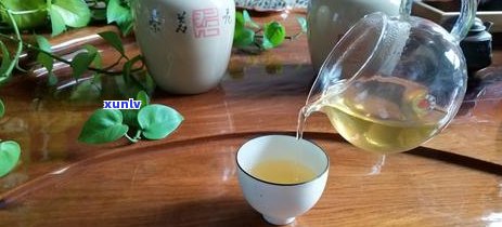 探究熟普洱茶臭味来源：是否影响饮用体验？