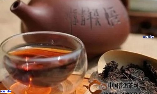 熟普洱茶有一股臭味