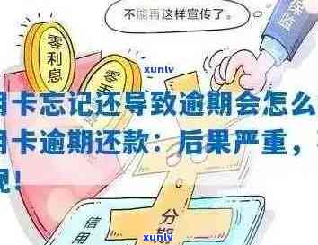 信用卡逾期10大后果深度解析：如何避免信用受损并解决逾期问题