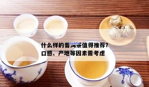 御龙仓普洱茶品质评价：口感、香气与适口性如何？一文全面解答您的疑问