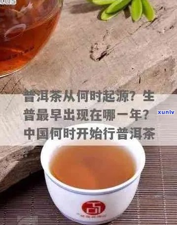 新探究普洱茶历：哪一年生产的普洱茶最为古老和珍贵？