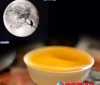 中粮普洱茶茗香醉月：古树韵味，醇厚口感，品鉴宴