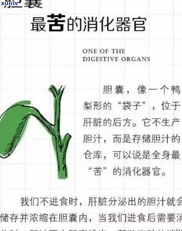 普洱茶与胆囊炎：是否引发及加重疾病？