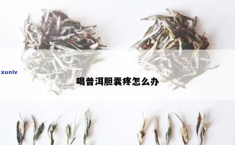 喝普洱茶犯胆囊炎吗