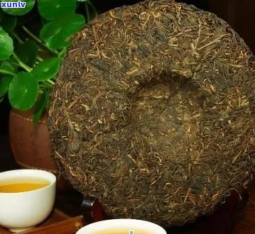 普洱茶一箱中包含多少饼？解析普洱茶饼数与其品质、存和购买的相关问题