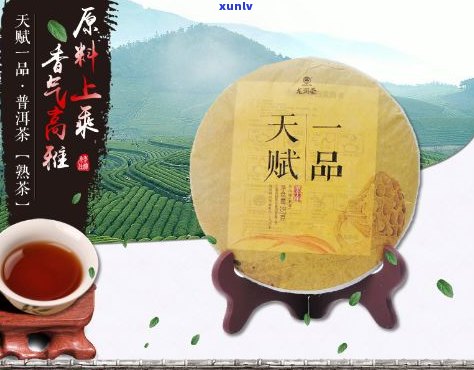 一品天香普洱茶价格