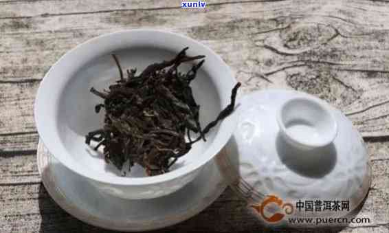 普洱茶一壶放多少克：茶叶量、价格及泡茶量完整解答