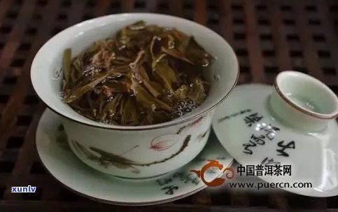 普洱茶多少克泡一壶