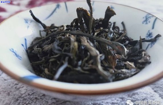 勐库茶区2019年明前春尖精选茶叶：香气浓，滋味醇厚，回味悠长