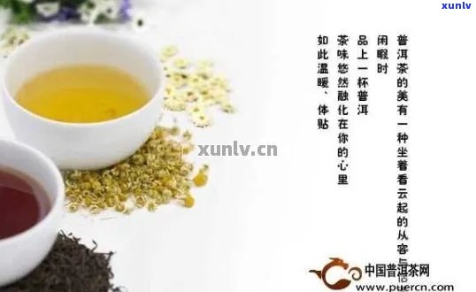 喝普洱茶要加杭菊吗？女生可以喝吗？