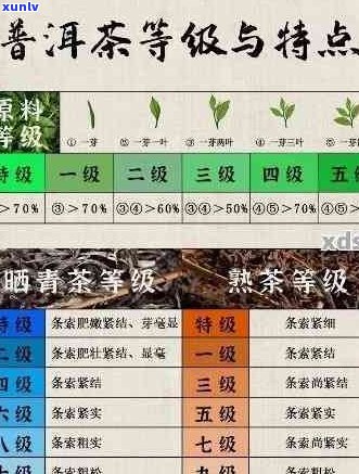 云南勐海普洱茶各档次价格对照表，带你了解普洱茶市场行情