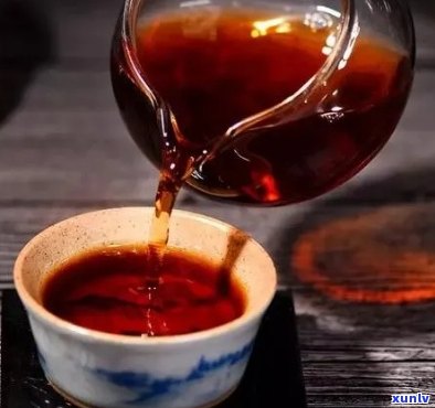 四年普洱茶：品鉴、保存、冲泡与陈化全攻略，让你的普洱茶品味更上一层楼