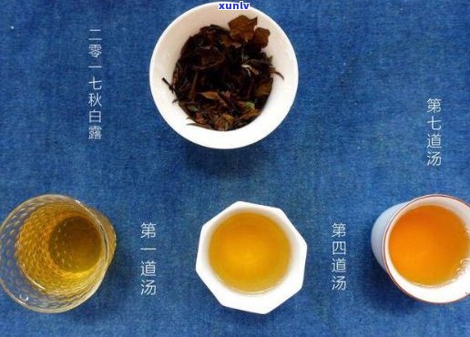 福元号茶：品质、口感、种类及泡法全面解析，让你了解这款茶的方方面面