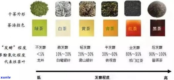 福元号茶：品质、口感、种类及泡法全面解析，让你了解这款茶的方方面面