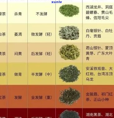 福元号茶：品质、口感、种类及泡法全面解析，让你了解这款茶的方方面面