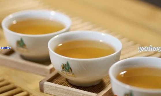 新「纯正益心泉普洱茶：品质、价格与口感分析」