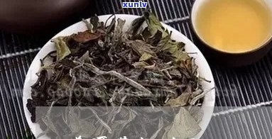 普洱茶能浇栀子花吗