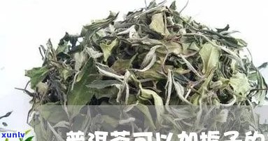 普洱茶能浇栀子花吗