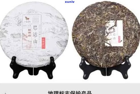 西定山普洱茶好不好吃：品鉴评价与推荐