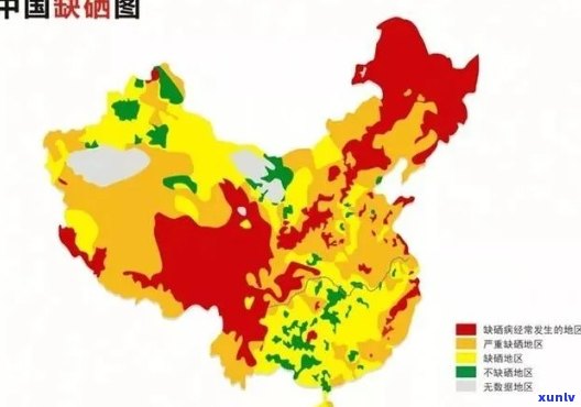 翡翠马成功挂牌，助力企业迈向新高峰