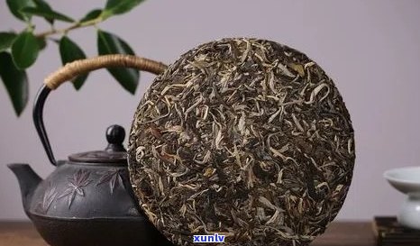 祺丰源普洱茶怎么样