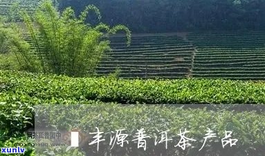 祺丰源普洱茶怎么样