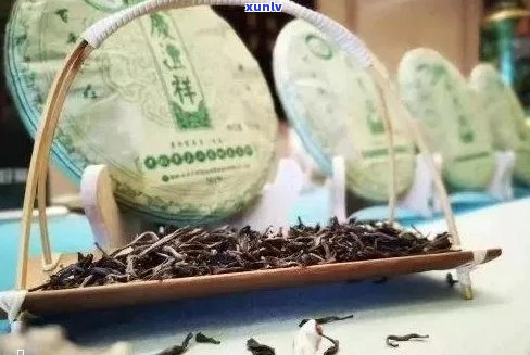 云南普洱茶与七彩雀：一场视觉宴与味蕾冒险