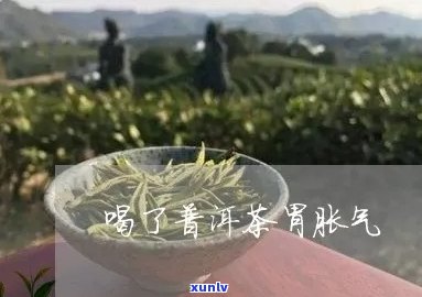 喝小青橘普洱茶后胃胀气？这里有解决方案！