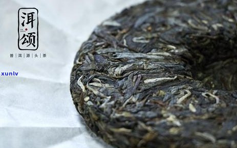 普洱茶好苦是好茶吗？为什么普洱茶会苦？