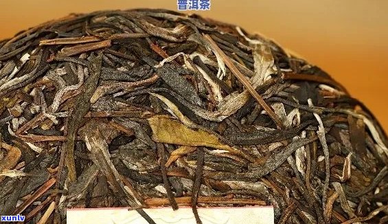 橡筋普洱茶特点与价格：普洱茶橡筋饼品鉴指南