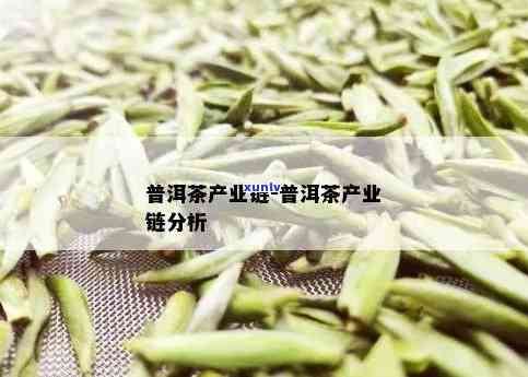 普洱茶文化产业链分析：涵哪些环节和产业？