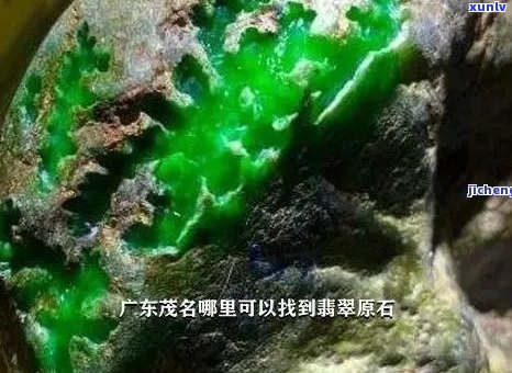 广东肇庆翡翠资源丰富，是否还有其他值得关注的宝藏？