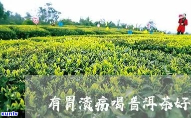 十二指肠溃疡普洱茶