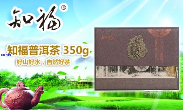 知福普洱茶饼350克价格：了解其400g和350g的售价