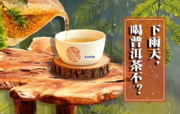 '下雨天，普洱茶与你共享清幽时光'