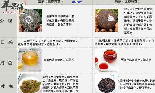 三叶青熟普洱茶的八大功效与作用解析：从健、减肥到提神一网打尽！